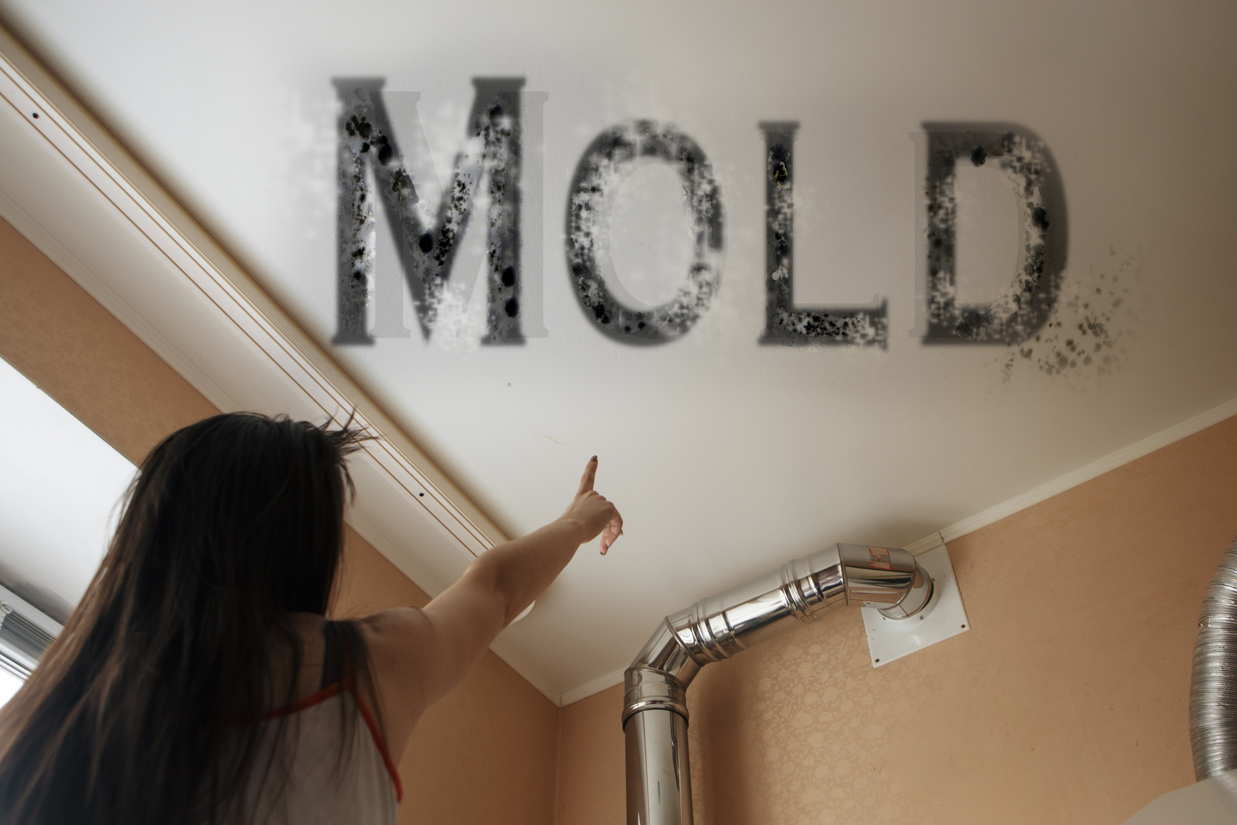 How Mold Inspections Protect Your Family and Property Value
